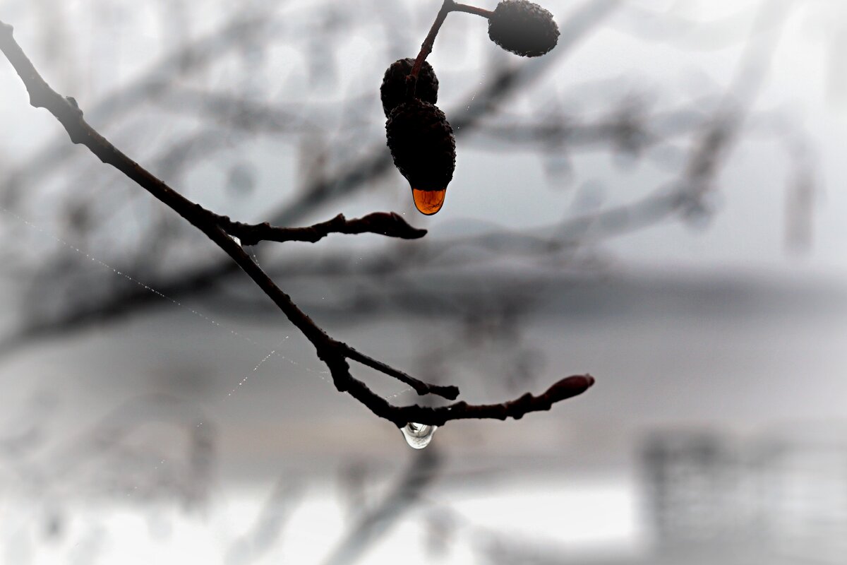 Горькие слёзы - Марина 