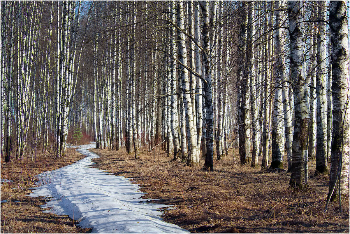 Тропою ушедшего марта - Валентин Котляров