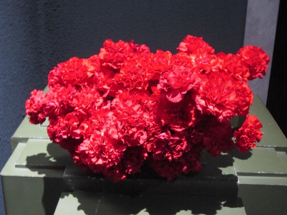 Букет пылающих гвоздик - Дмитрий Никитин