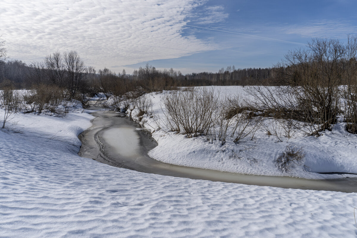 Март еще в снегах - Сергей Ц