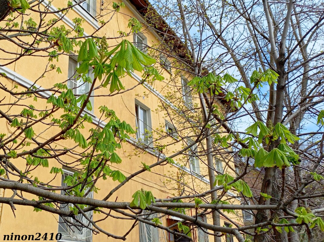 Весна на ростовских улицах - Нина Бутко