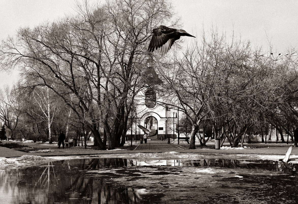 *** - Борис Руднев