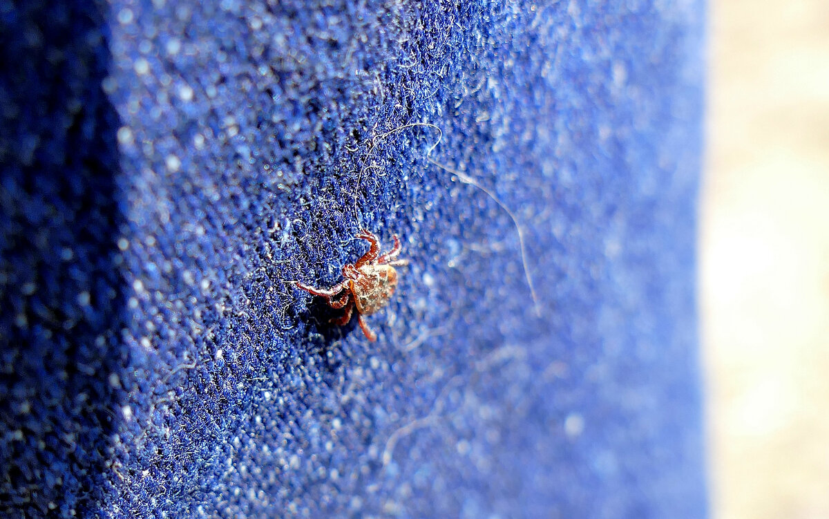 из снятого сегодня 11 - Александр Прокудин