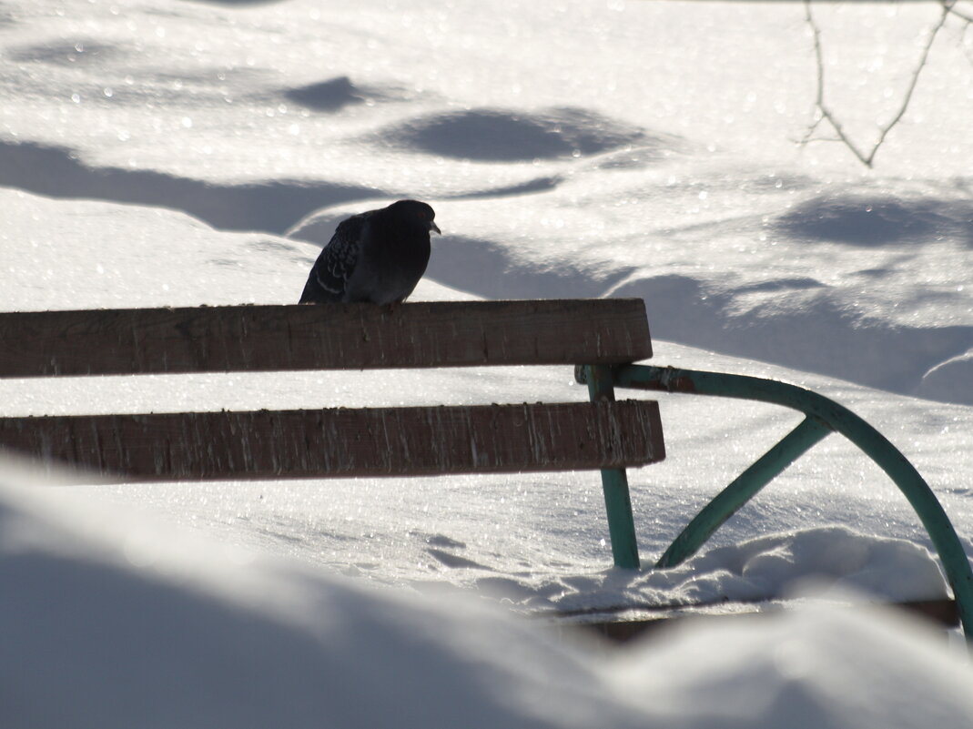 Ожидание - Сергей Сергеев