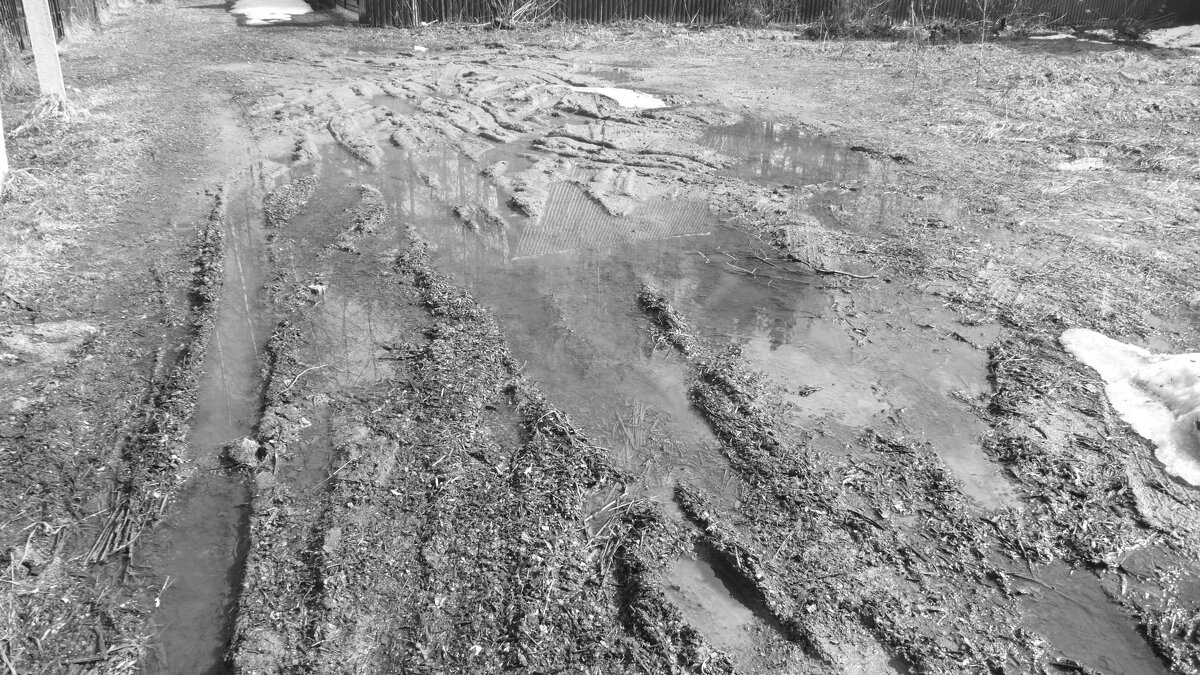 Мечты о ч/б Лейке 87. - Михаил Елочкин