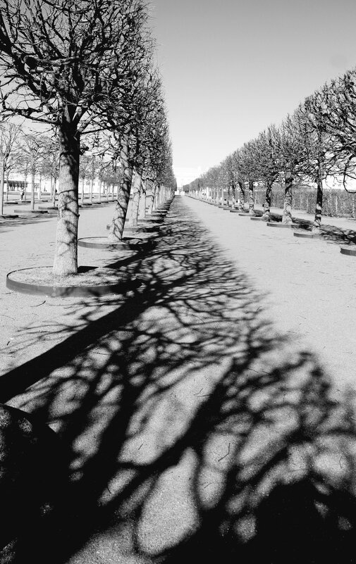 Петергоф. Верхний сад - Наталья Герасимова Петергоф. Верхний сад - Наталья Герасимова