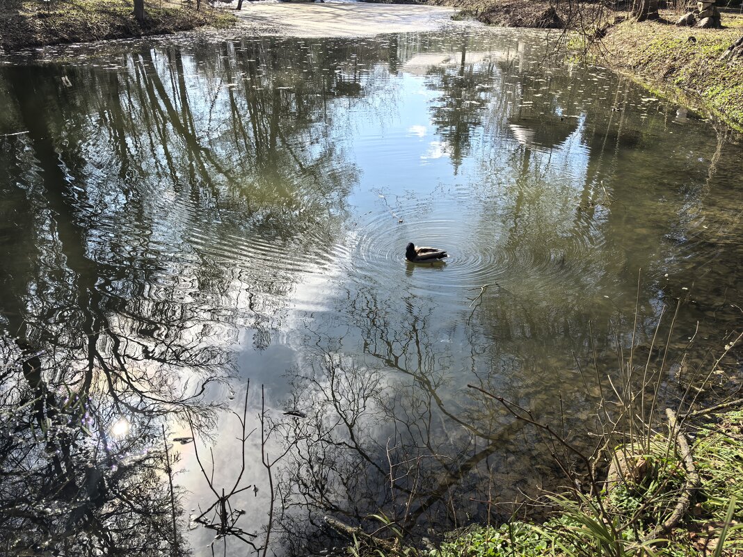 ***в отражении*** - Olga Oskolkova ***в отражении*** - Olga Oskolkova