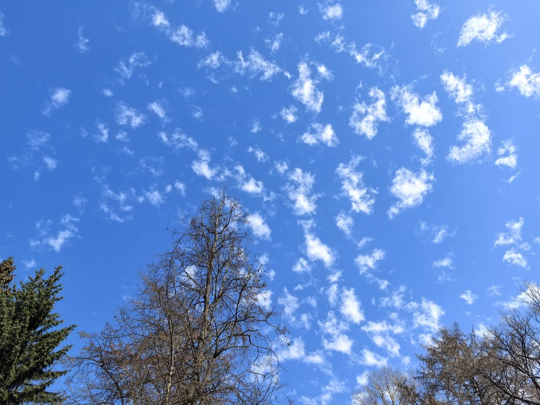 ***облака - пушинки""" - Olga Oskolkova