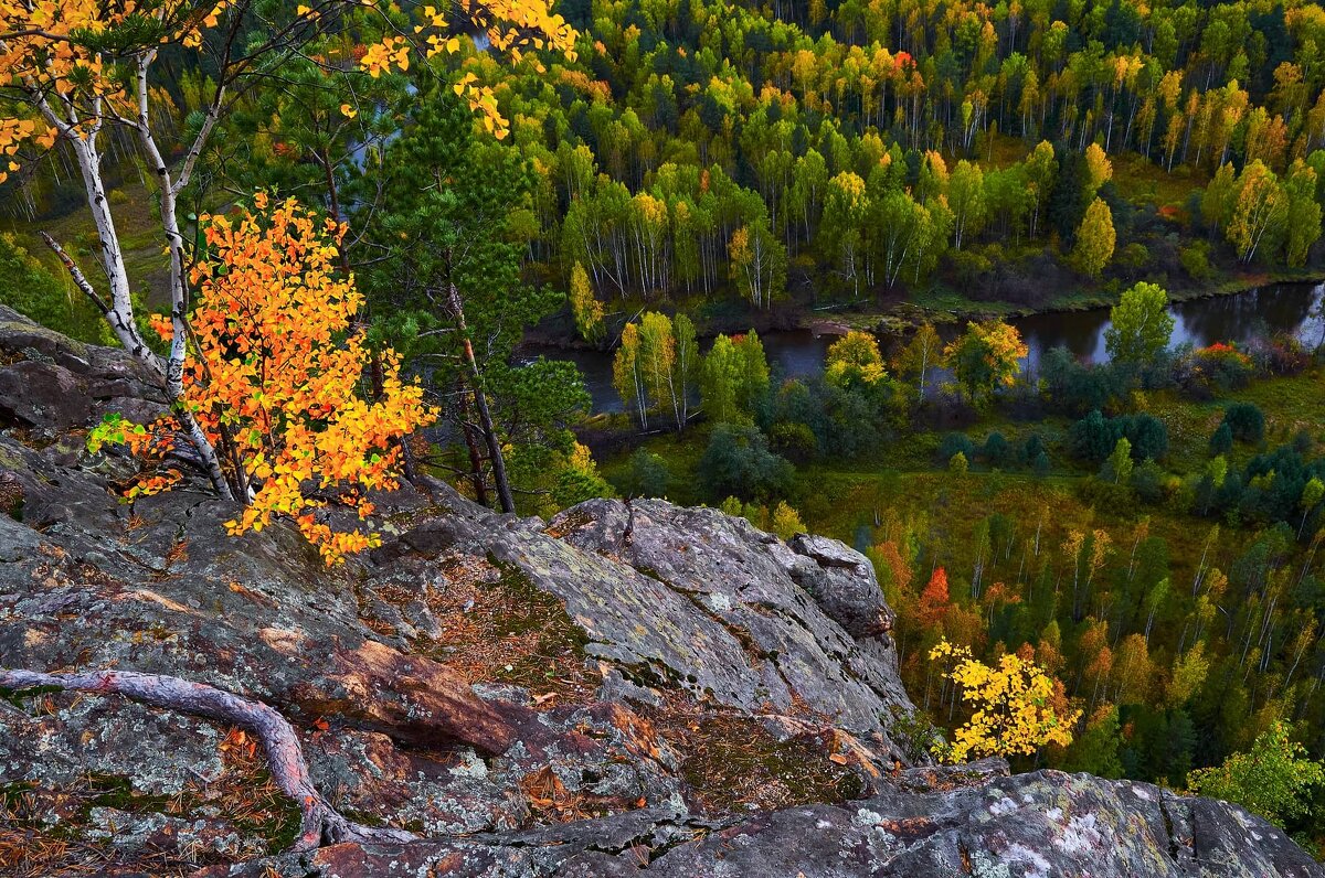Осень над рекой. - Юрий кот