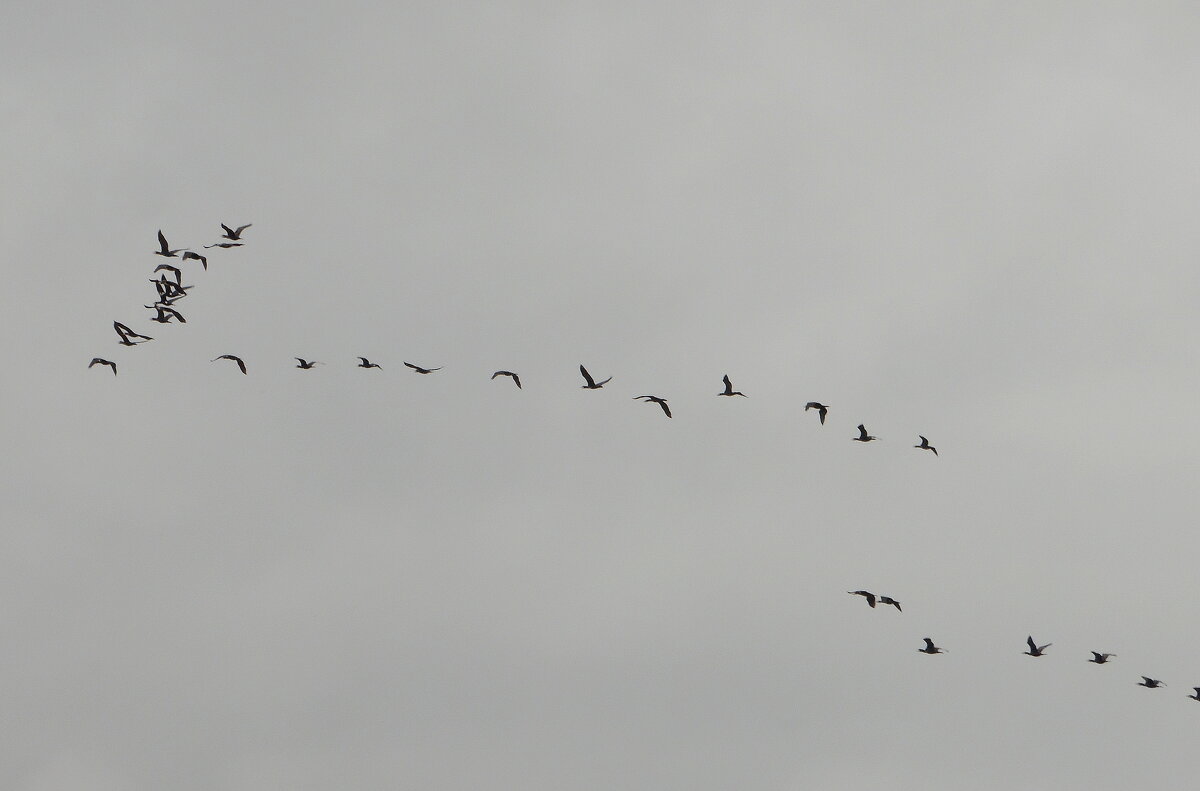 Из дальних странствий воротясь... - nadyasilyuk Вознюк Из дальних странствий воротясь... - nadyasilyuk Вознюк