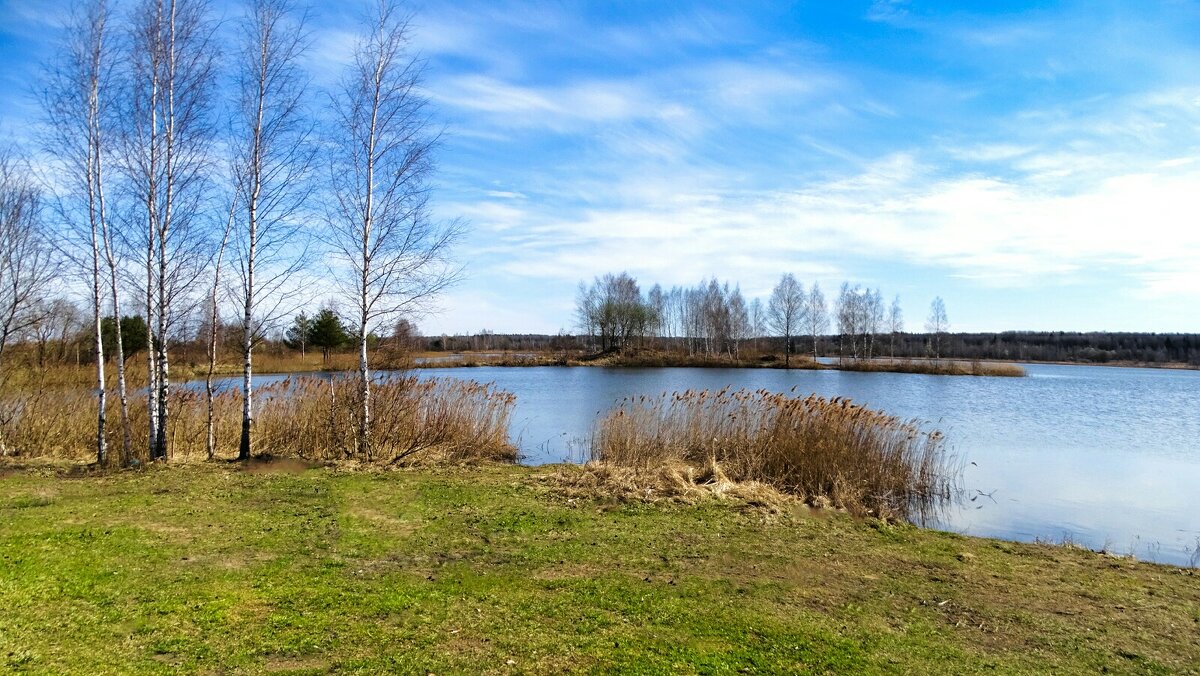 Весна - Милешкин Владимир Алексеевич Весна - Милешкин Владимир Алексеевич