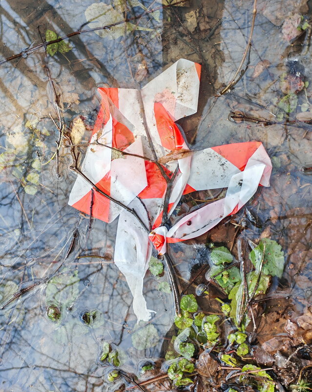 ПЛЯШИ ПАЯЦ - Юрий Вовк
