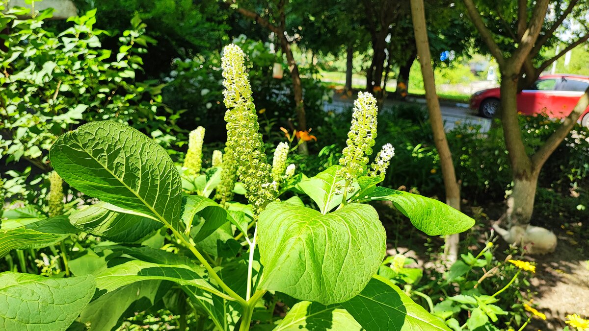 ,,, - Сергей Тимоновский