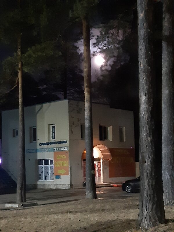 Полнолуние в городе - Галина Минчук