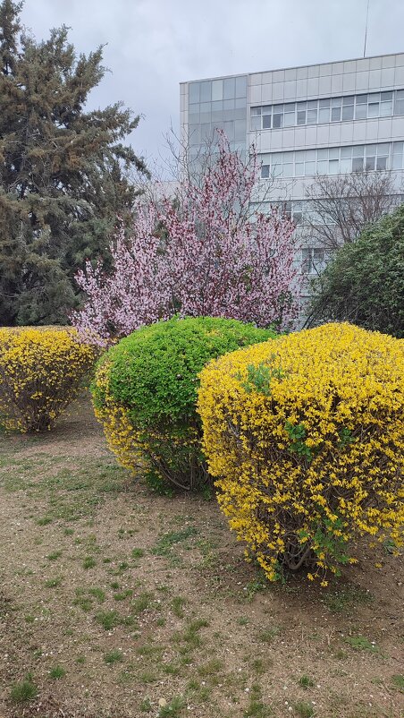 Весна - Людмила Мила