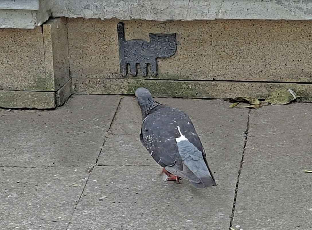 давай знакомиться - ИРЭН@ .