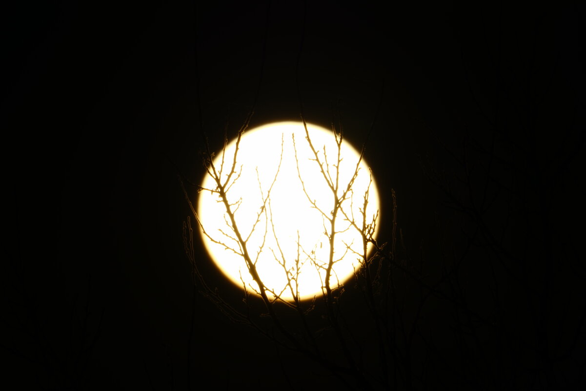 Пойманное солнце - Иван Литвинов