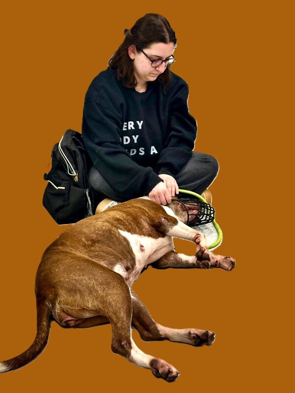 РЕПОРТАЖ   ИЗ   УБЕЖИЩА (6) - Анатолий Малобродский