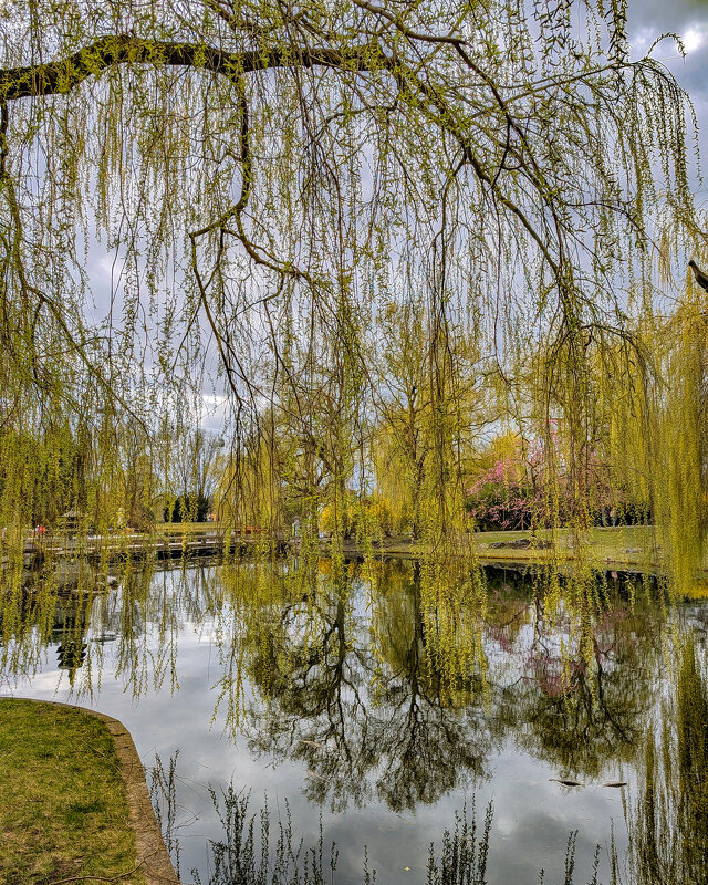 Ранняя весна - Tarus 