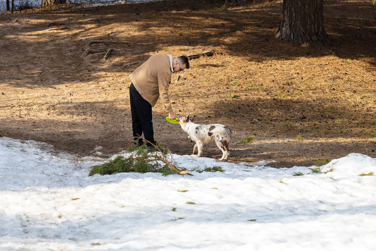 Собака принесла тарелочку хозяину - Александр Синдерёв