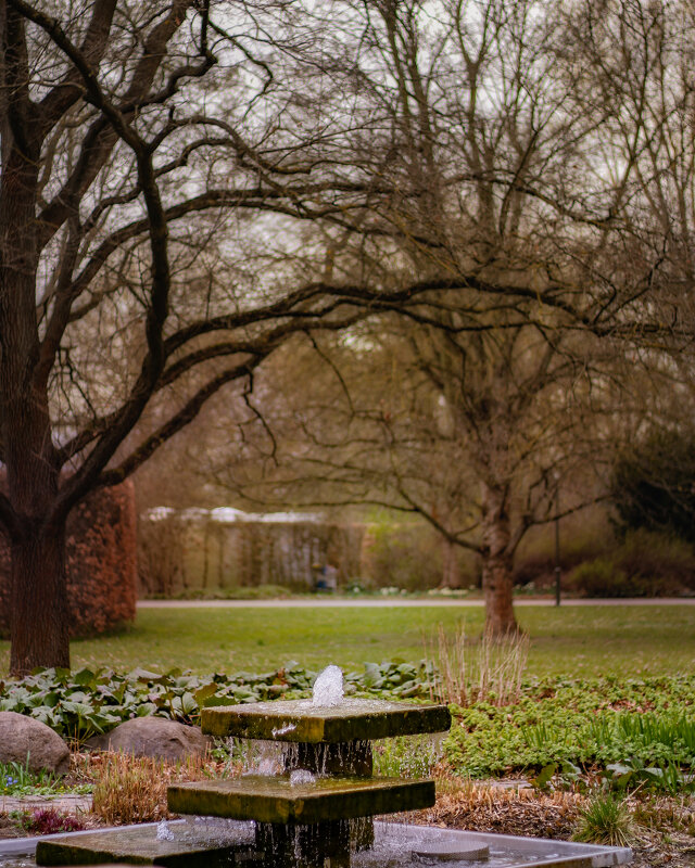 Уголок в парке - Tarus 