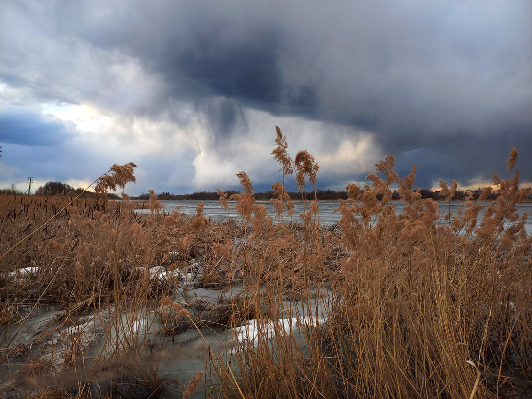Весенняя непогода - Crazy Bee Весенняя непогода - Crazy Bee