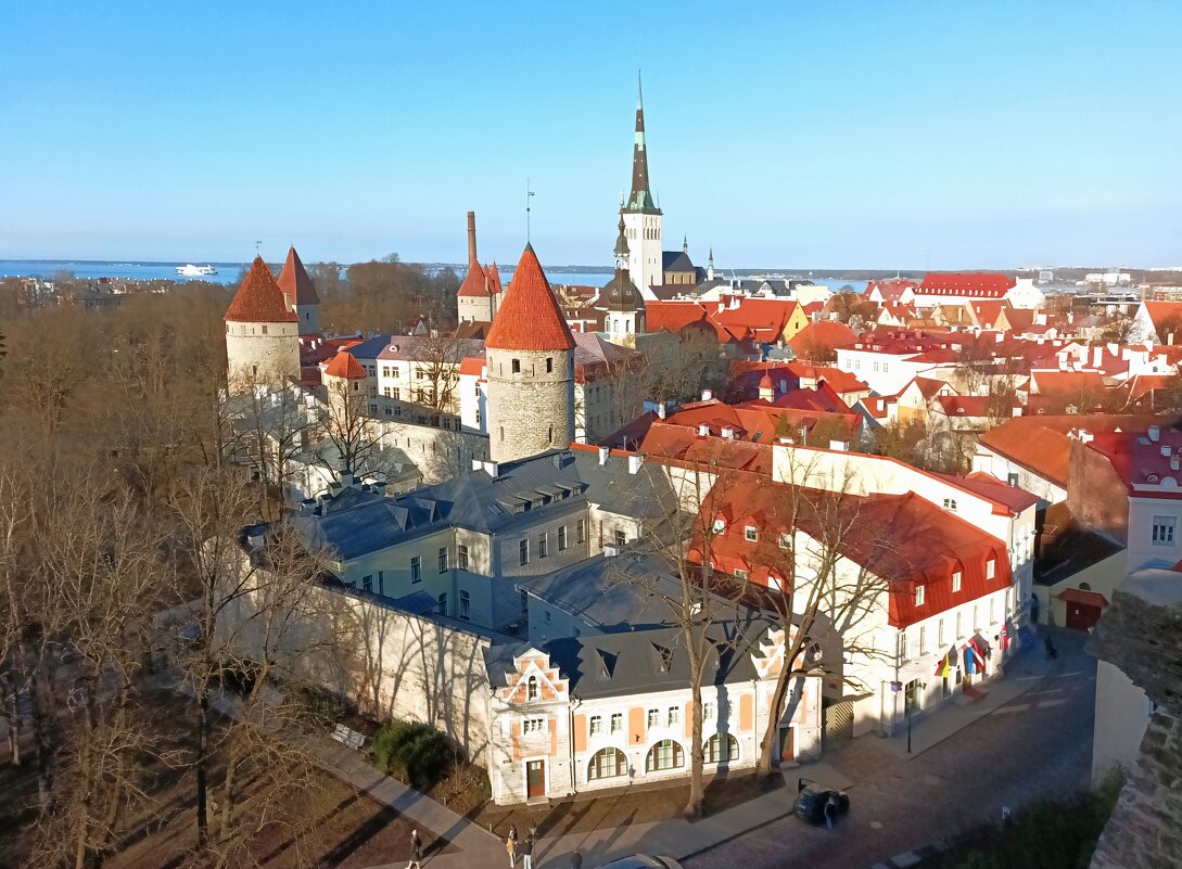 Старый Таллин - Veera V Старый Таллин - Veera V