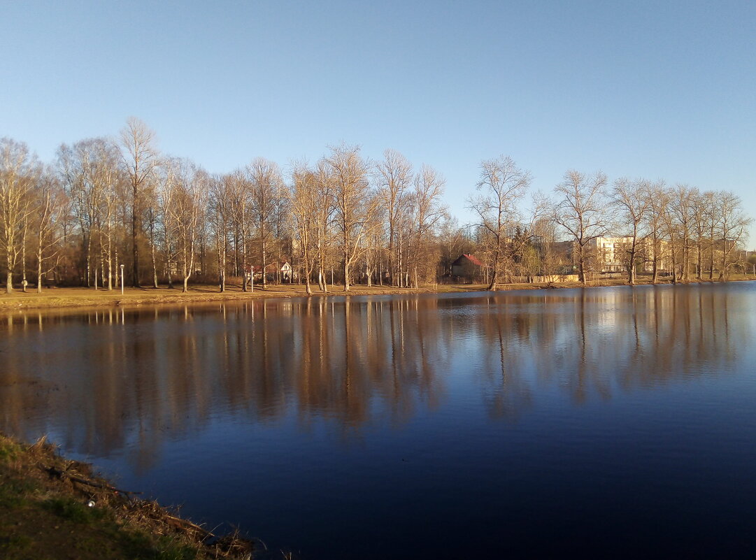 Весенний день на пруду - Сергей Кочнев Весенний день на пруду - Сергей Кочнев