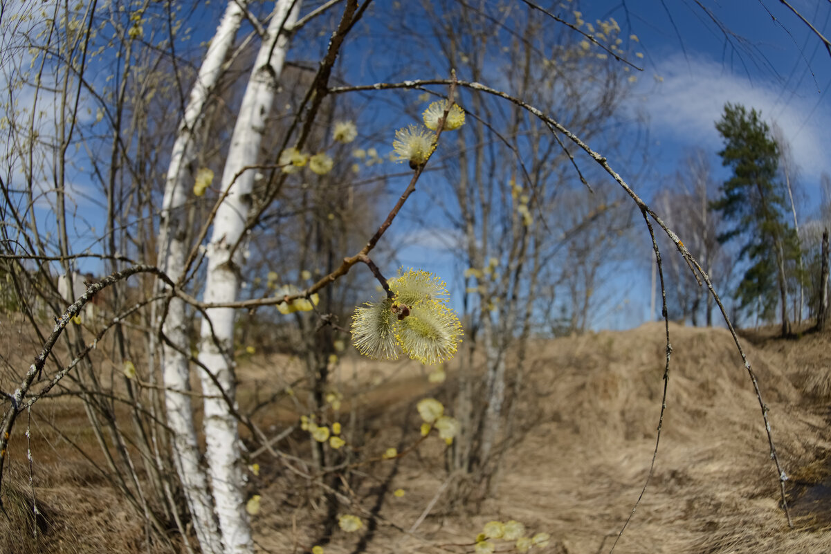 С праздником! - Николай С праздником! - Николай