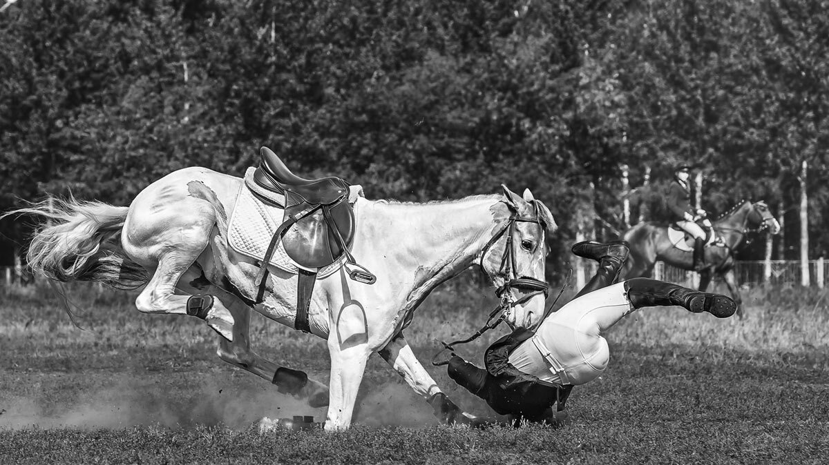 Конкур - SanSan 