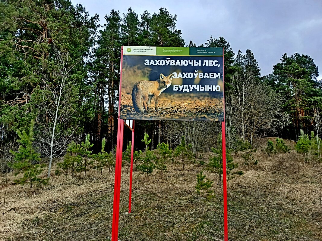 Берегите лес! - Vladimir Semenchukov