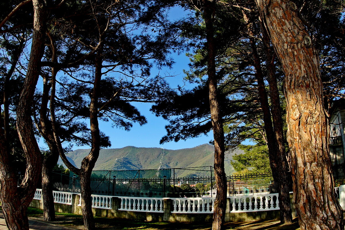 Геленджик... набережная... - Николай Саржанов