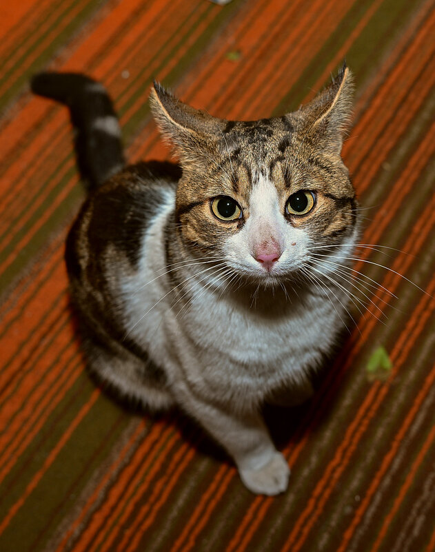 эти глаза напротив... - Aleksandr .