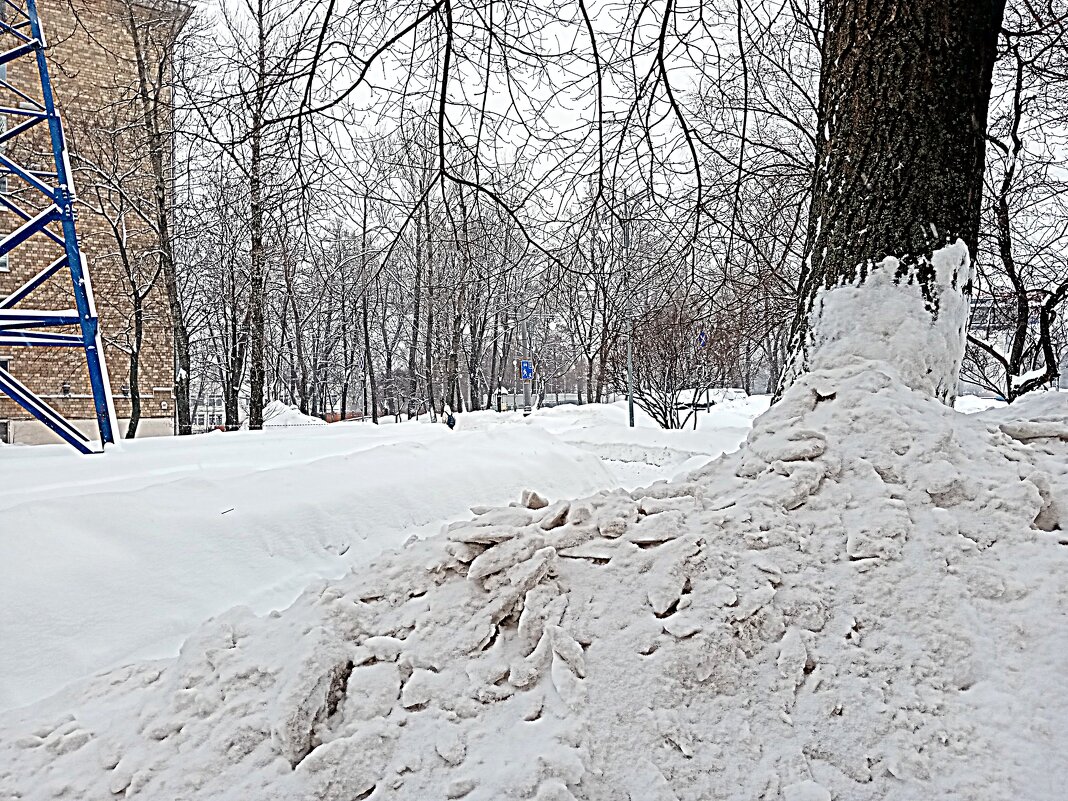 Зима. - Владимир Драгунский