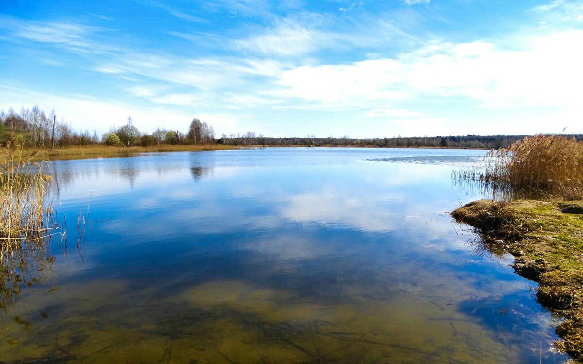 Весна в начале апреля. - Милешкин Владимир Алексеевич Весна в начале апреля. - Милешкин Владимир Алексеевич