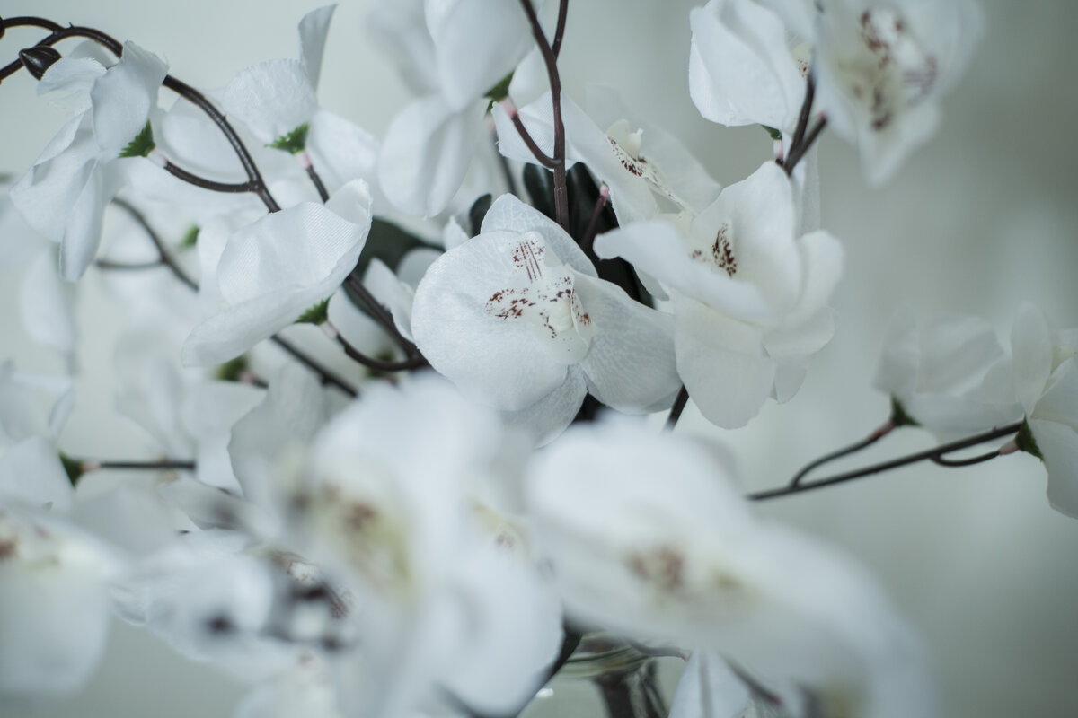 _ - Тамара Федорова