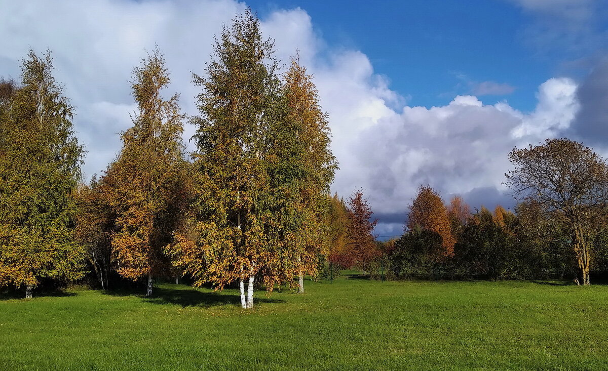 Однажды теплой Осенью .. - Татьян@ Ивановна Однажды теплой Осенью .. - Татьян@ Ивановна