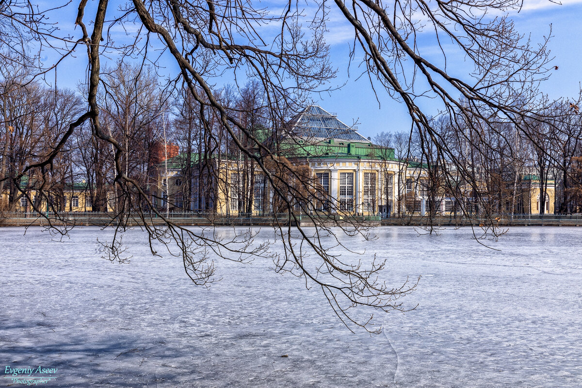 Весна в Таврическом саду - Евгений Весна в Таврическом саду - Евгений