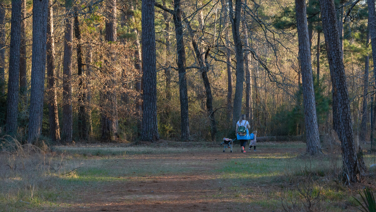 Лес - **** vedin Лес - **** vedin