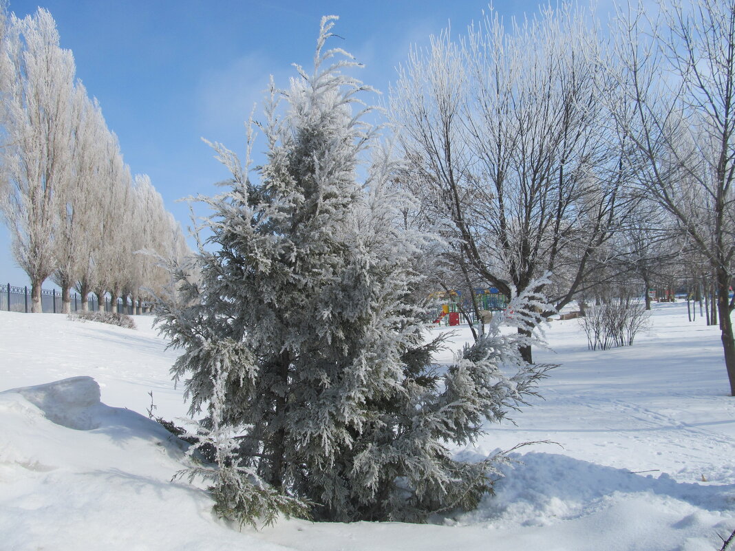 март - Елена Шаламова