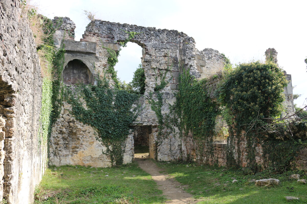 Графские развалины - Ольга 