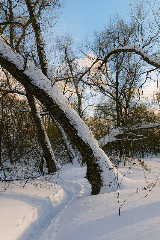 в преддверии весны - Серый в преддверии весны - Серый