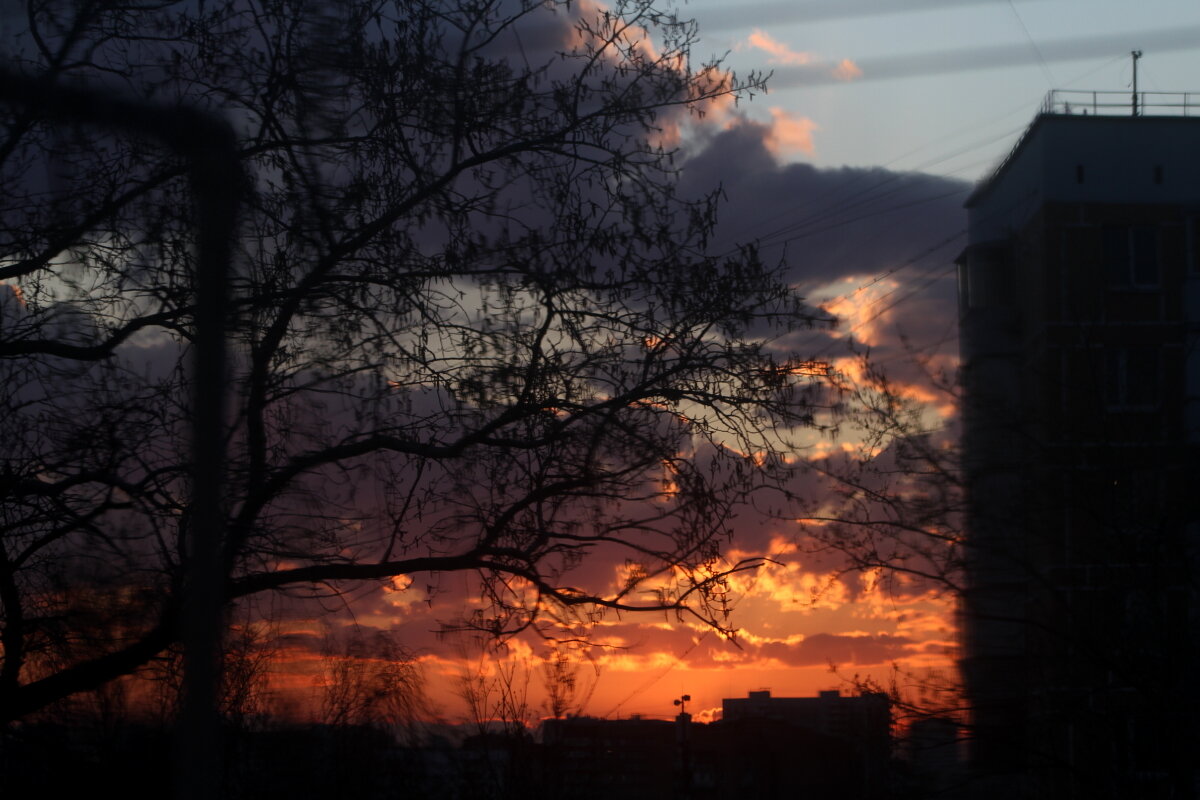 Палитра цвета от заката до рассвета - олег свирский 