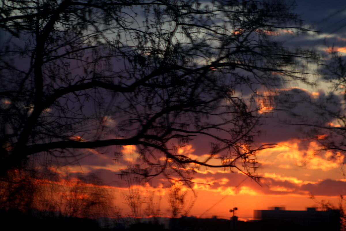 Палитра цвета от заката до рассвета - олег свирский 
