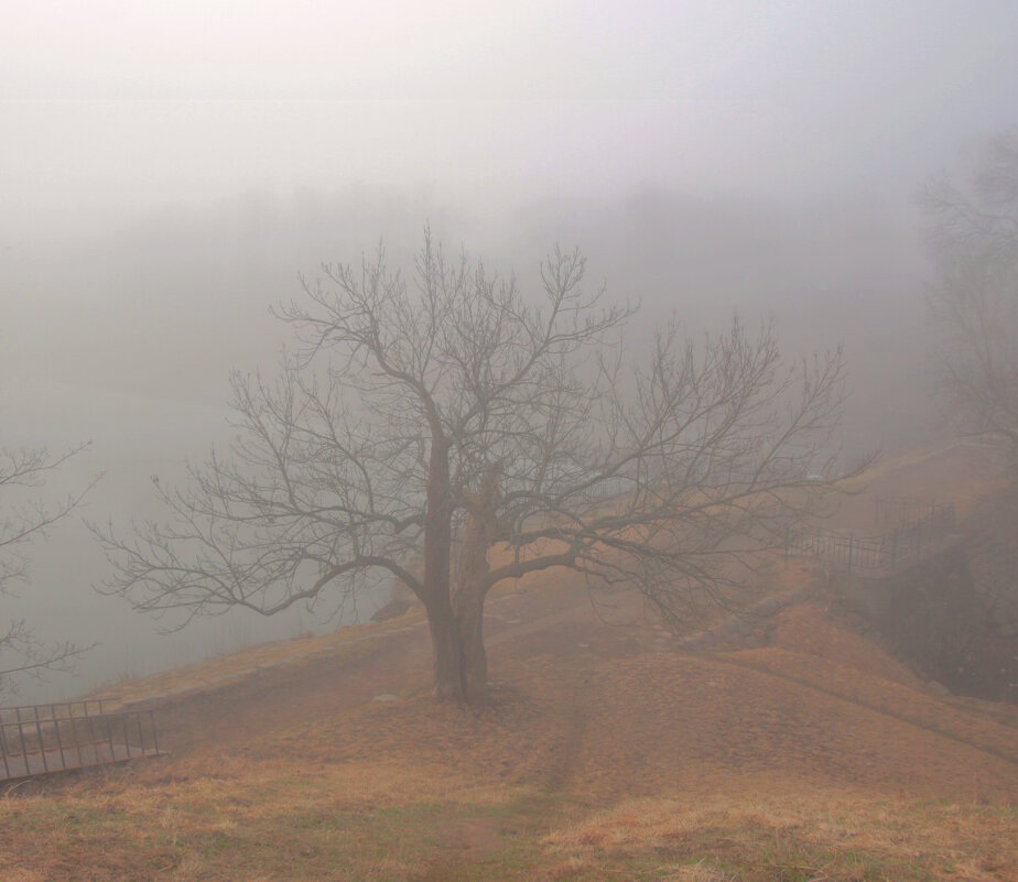 *** - Сергей Григорьев