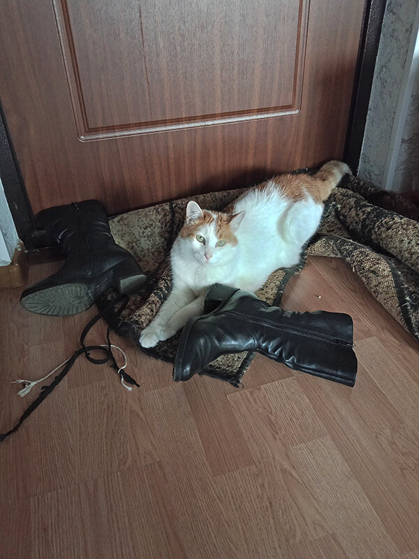 Ну поиграл, немножко! - Ирина Соловьёва Ну поиграл, немножко! - Ирина Соловьёва