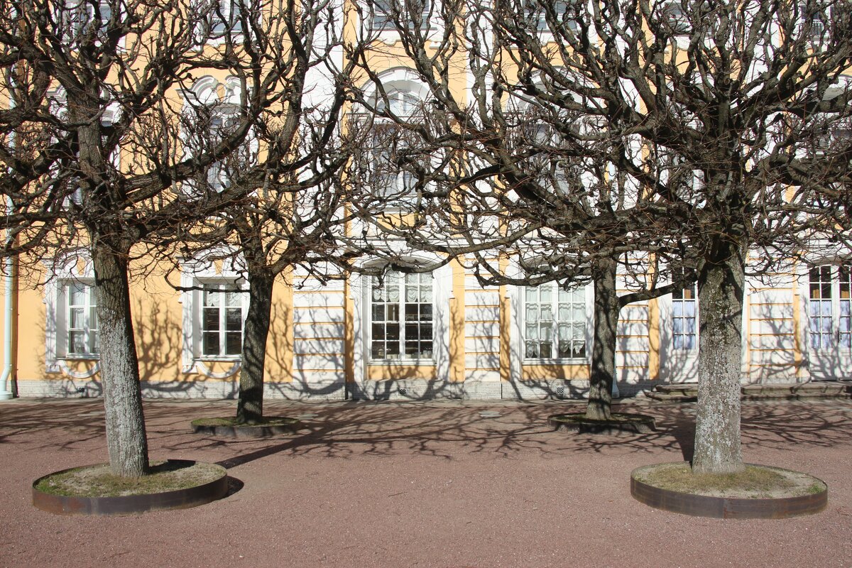 Петергоф. Верхний сад - Наталья Герасимова Петергоф. Верхний сад - Наталья Герасимова