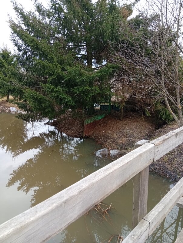 Прогулка с подругой - Светлана Мишенёва Прогулка с подругой - Светлана Мишенёва