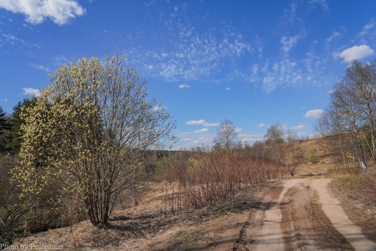 Под небом апреля... - Владимир Жданов