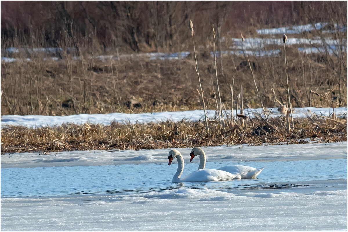 Был бы милый рядом... - Валентин Котляров